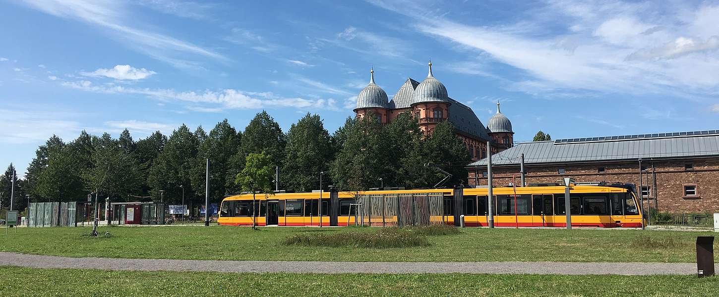 Straßenbahn fährt hinter einem grünen Feld