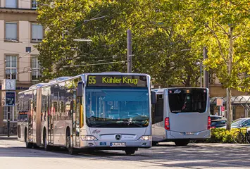 Ein Bus der Linie 55 im Bereich des Karlsruher Hauptbahnhofes. Im Hintergrund fährt ein Bus vorbei und zudem ist noch ein Baum zu sehen.